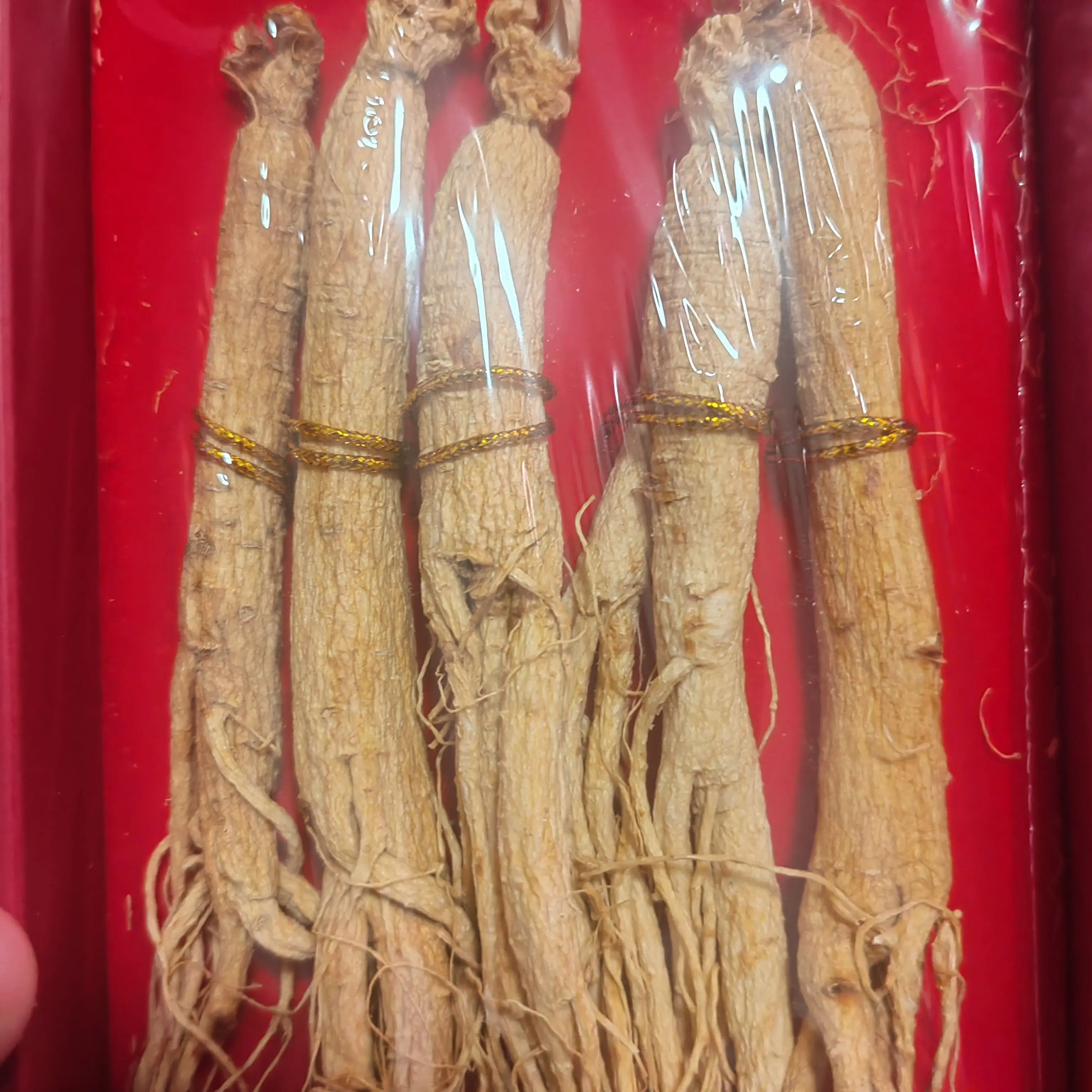 经常疲惫气虚的看过来!长白山整支生晒参煲汤泡酒滋补佳品
