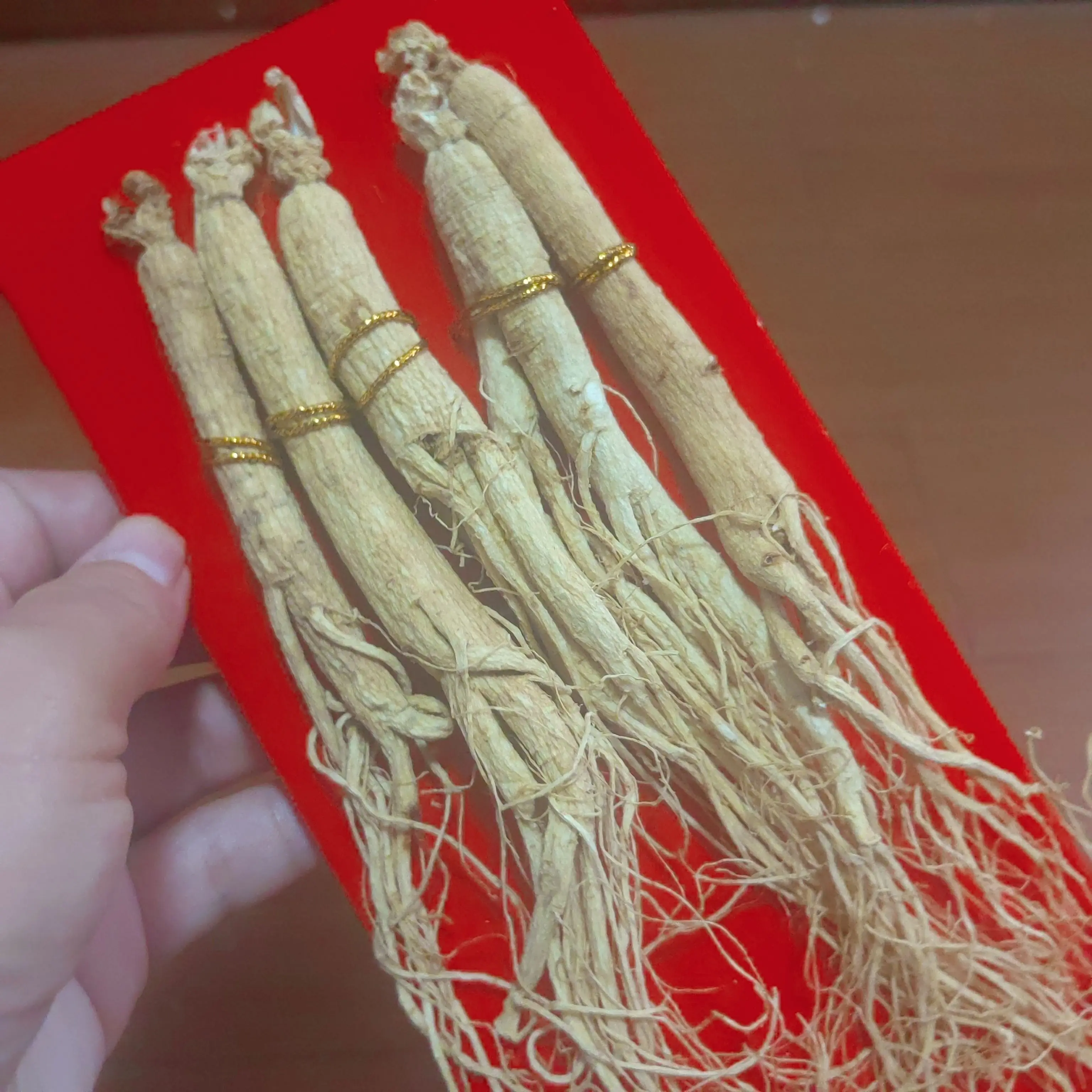 经常疲惫气虚的看过来!长白山整支生晒参煲汤泡酒滋补佳品