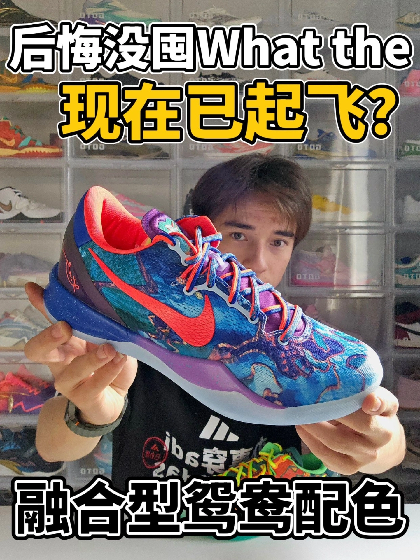 后续逐渐起飞⁉️What the融合鸳鸯❗