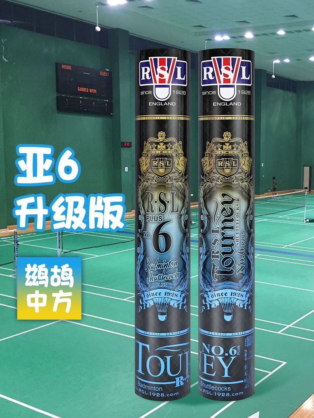 亚狮龙NO.6 PLUS羽毛球：专业之选，性价比之王