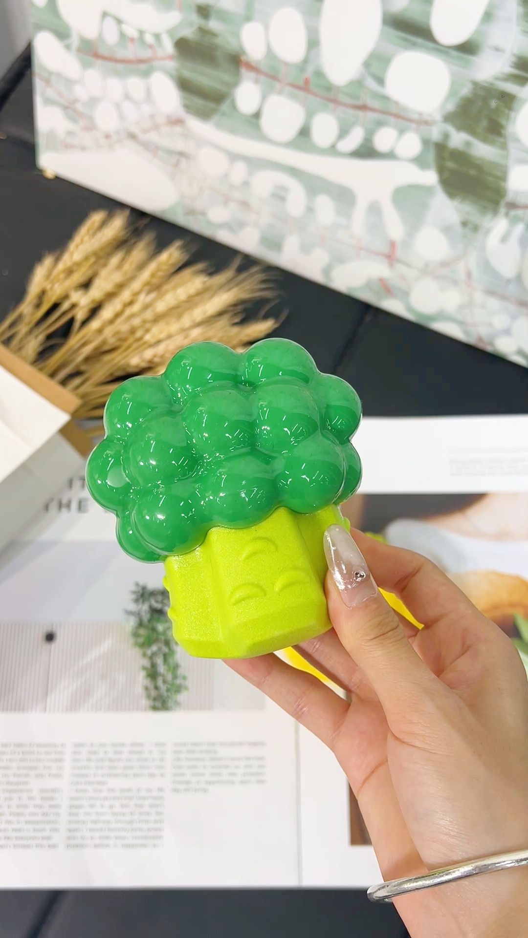 蔬菜造型宠物玩具使用记录