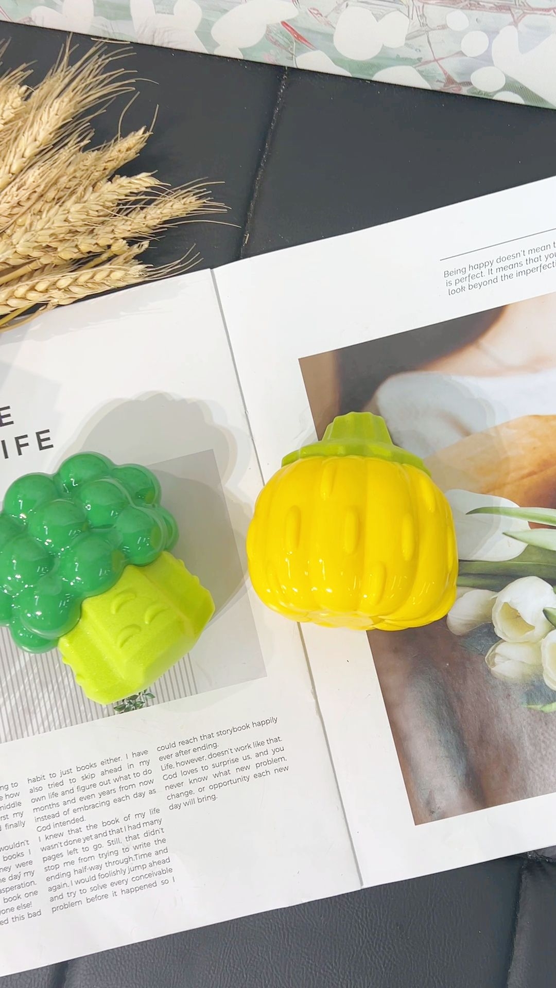 蔬菜造型宠物玩具使用记录