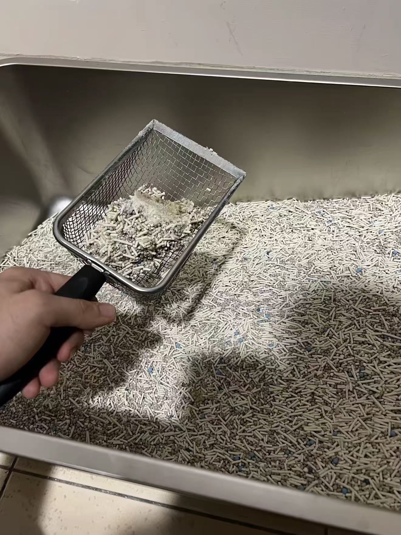 幼猫专用猫砂 植物材质温和不刺激