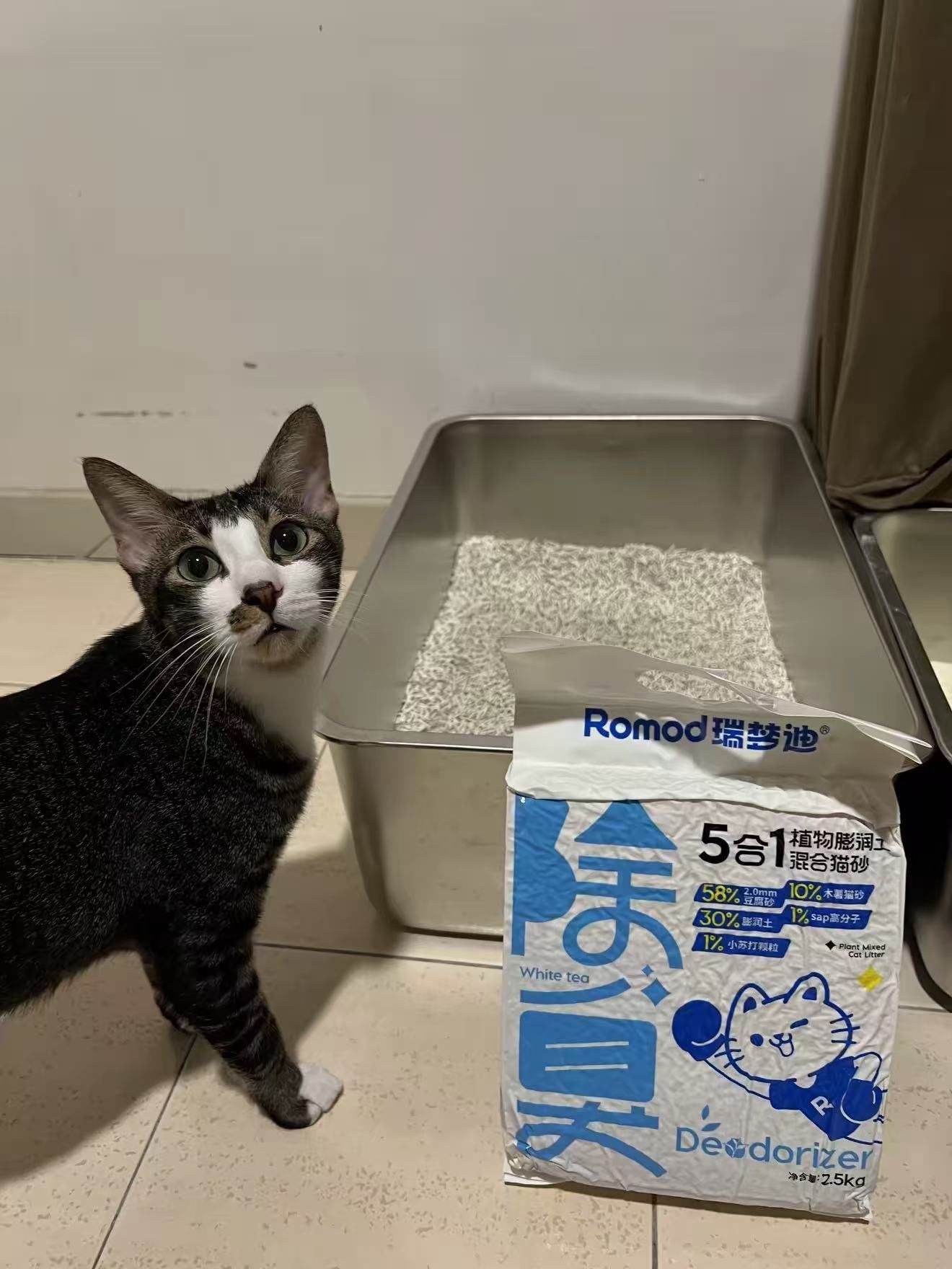 幼猫专用猫砂 植物材质温和不刺激