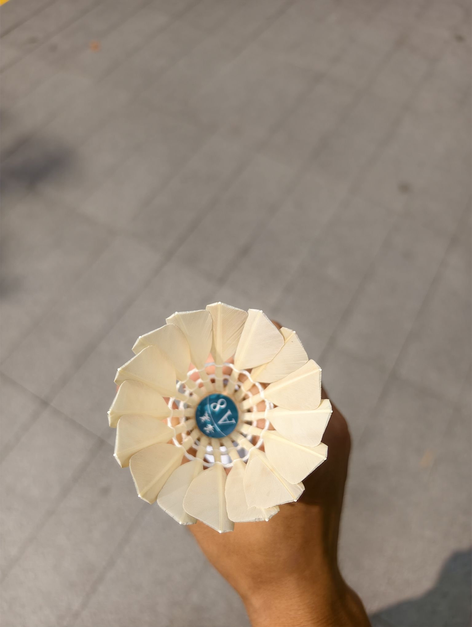 可以
