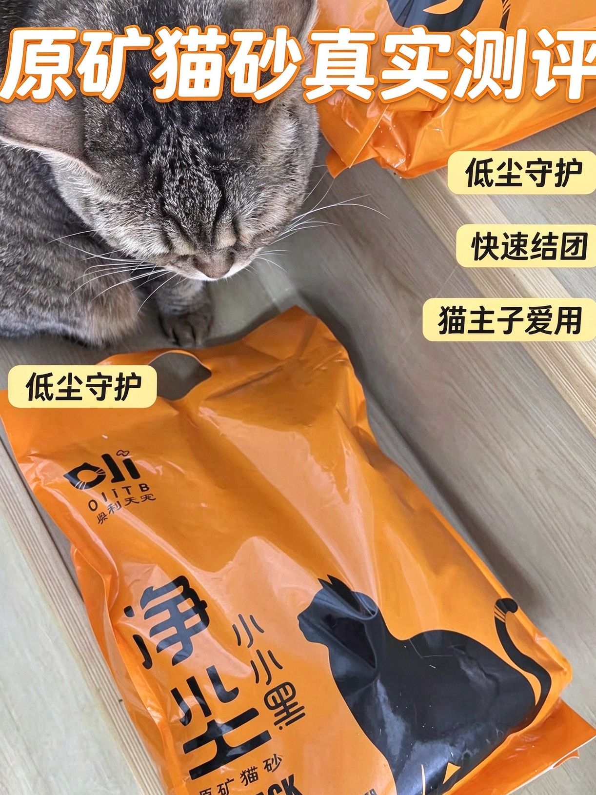 沸石+钠基的组合,除臭能撑几天?实测告诉你⏰