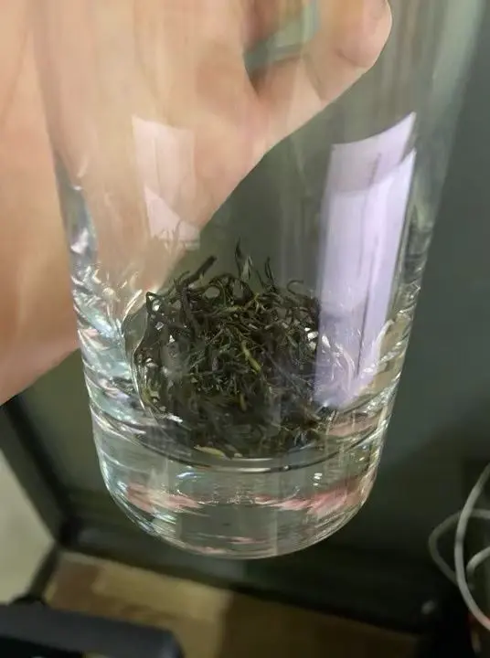 浓香型信阳毛尖,袋装实惠天天喝