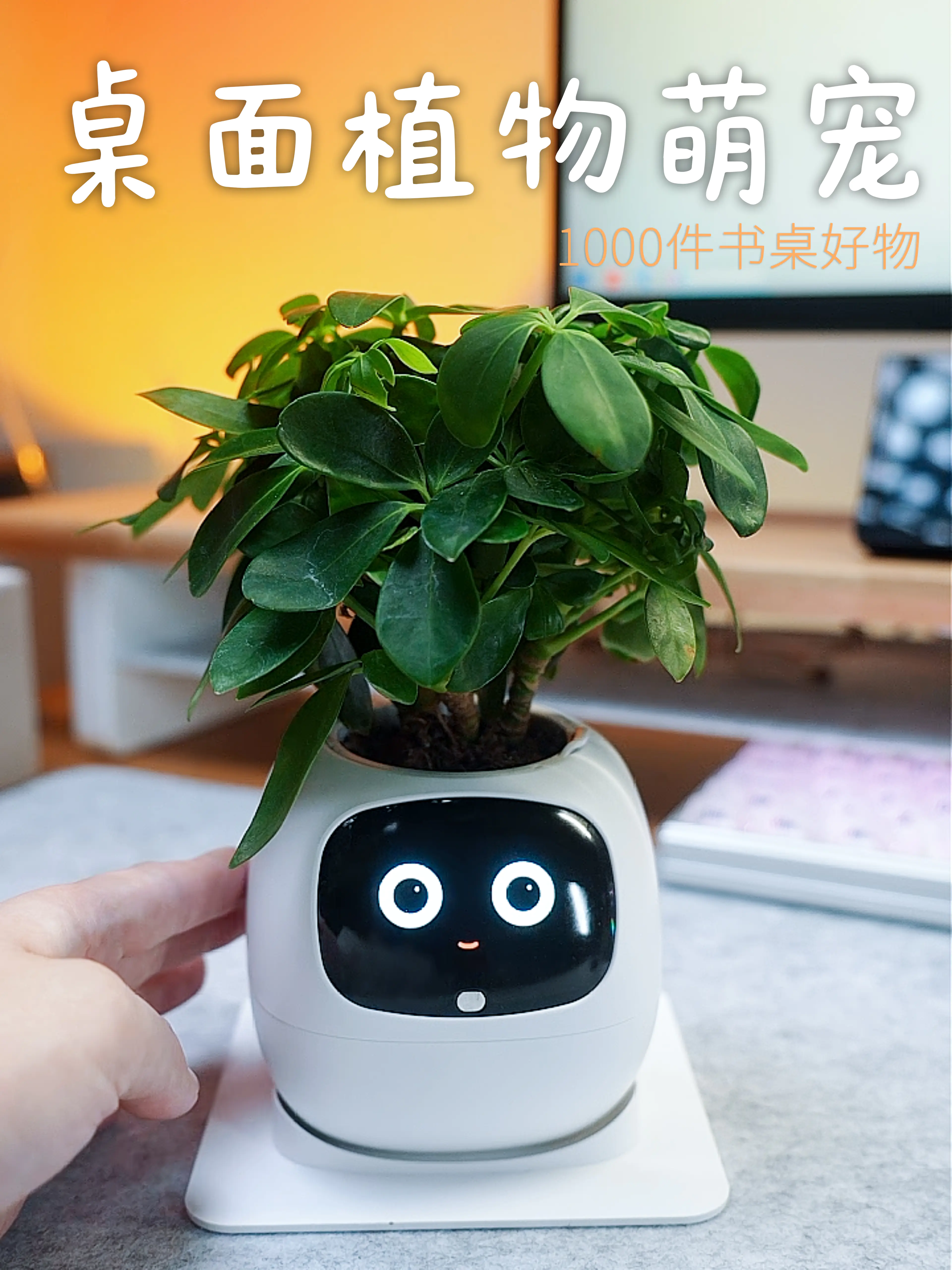 第一次见会“演”的花盆,工位养啥啥不活有救了