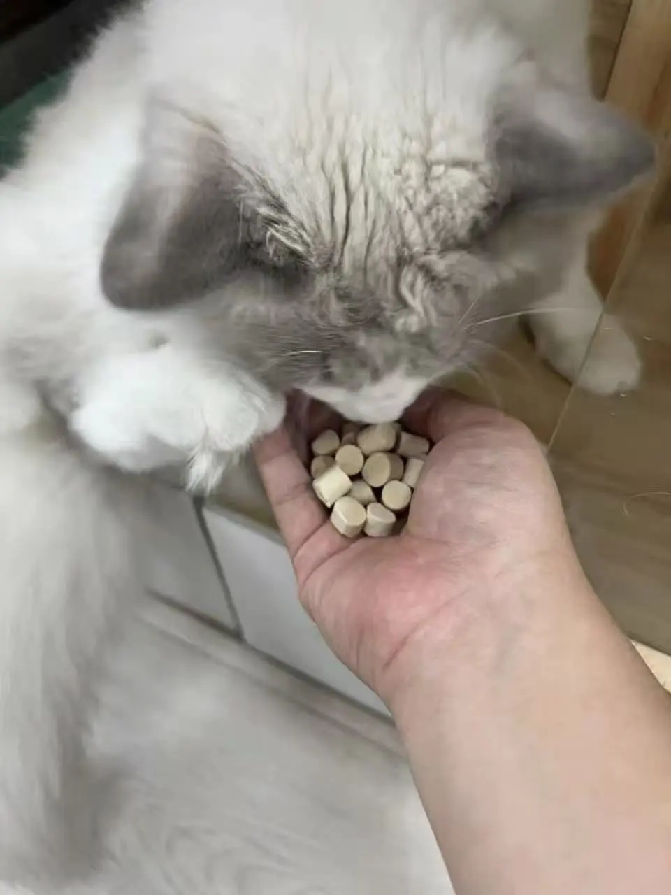 ✨幼猫发育期冻干|瑞小福三款生骨肉冻干轮换喂