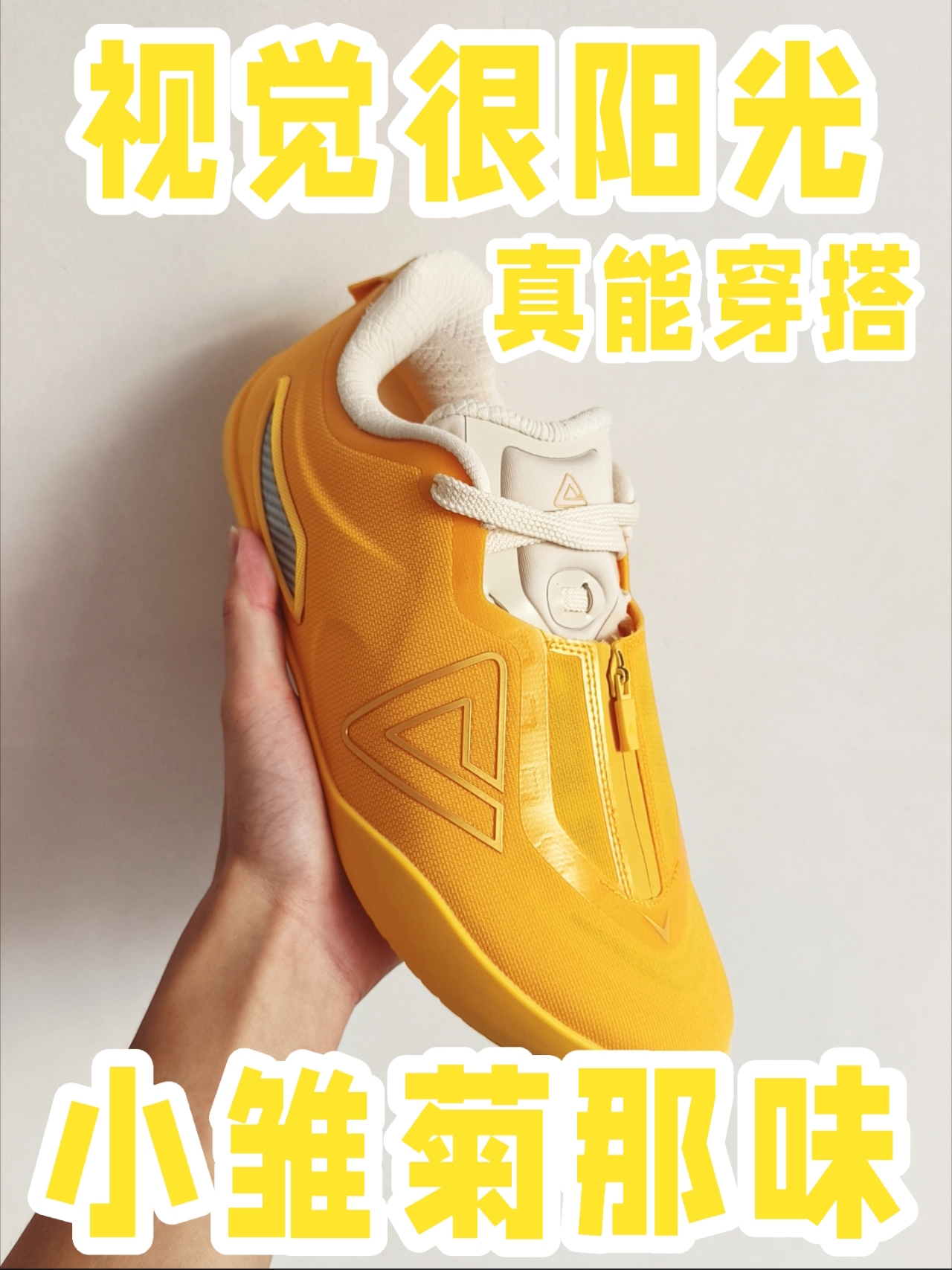 视觉很阳光✅丨真有小雏菊那味❗️❗️