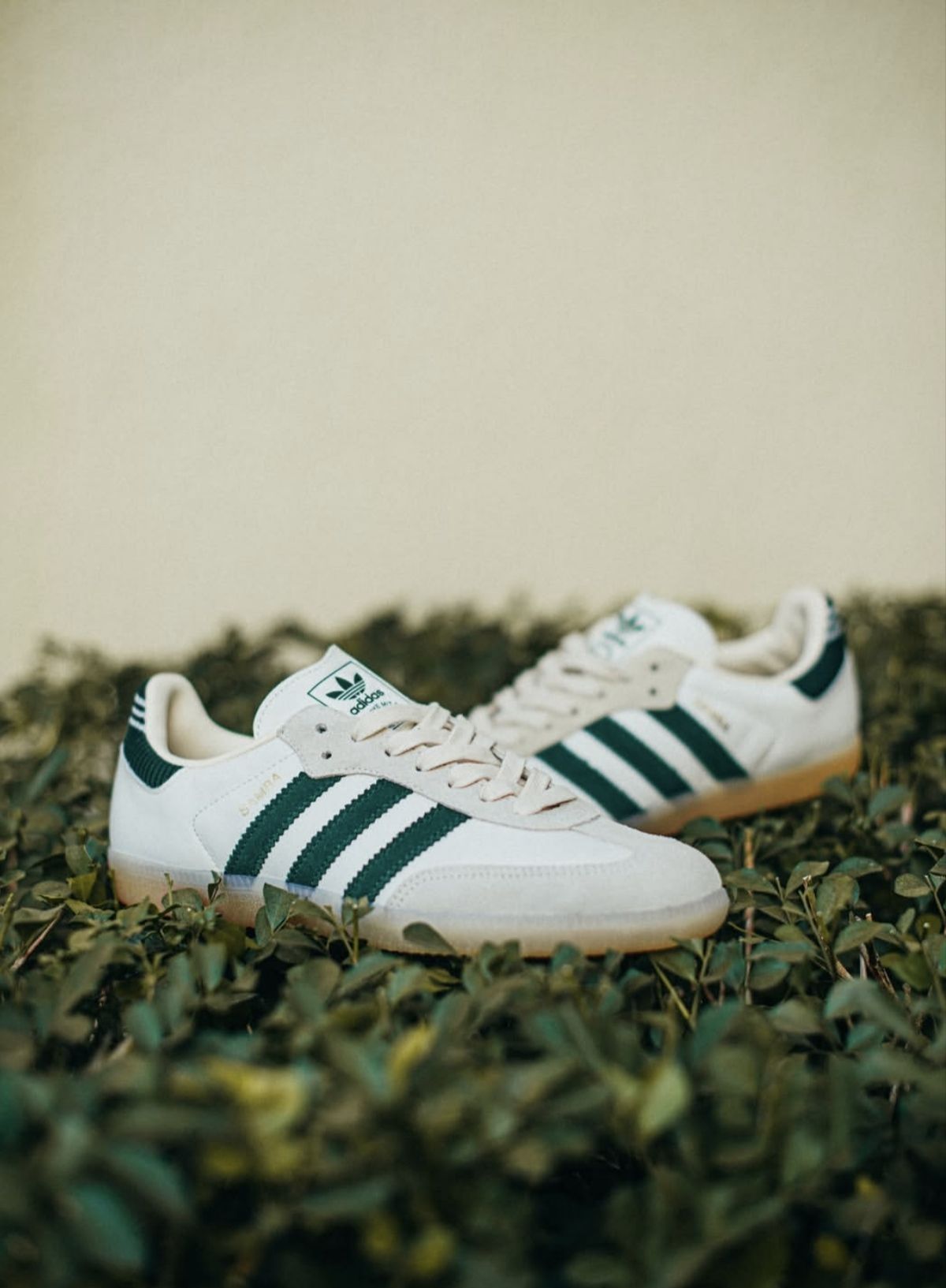 Adidas Samba 白绿德训鞋｜复古常青款🌿