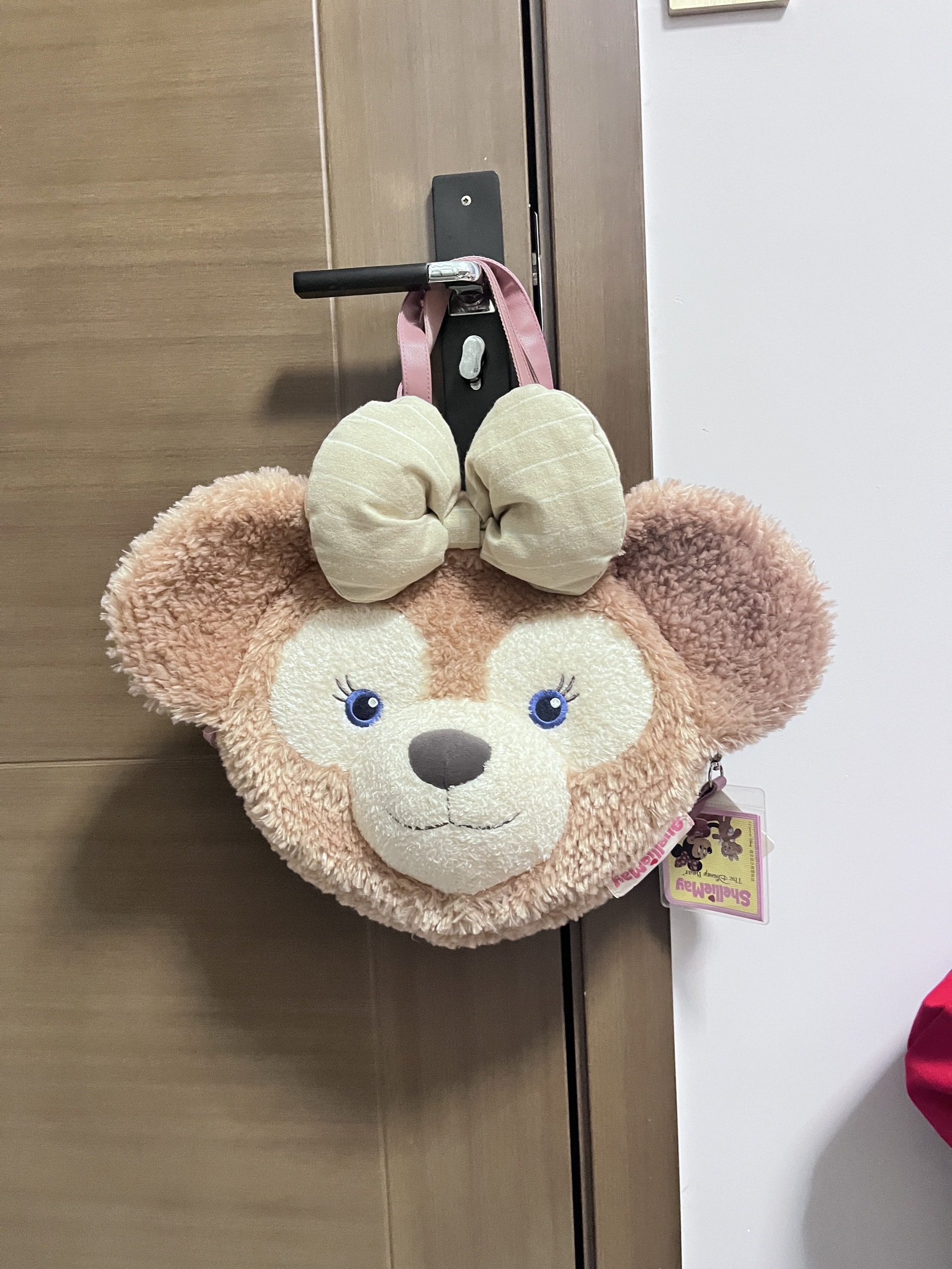 雪莉玫证件照🪪