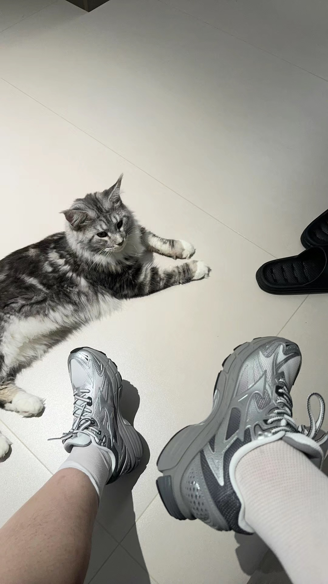 属于学生党的好👟