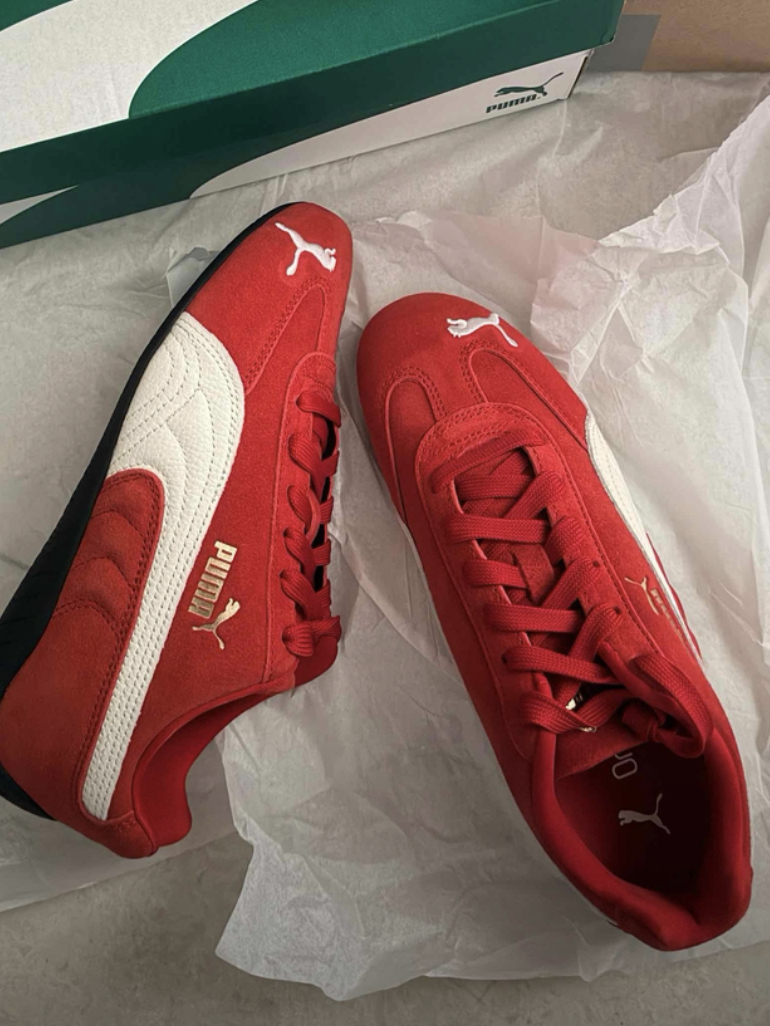 马年本命年的小马有福啦