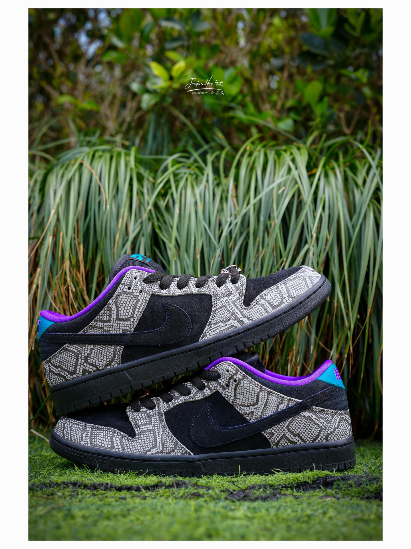 🤩滑手和潮人们,请看过来|这双蛇纹SB Dunk,值得入手‼️🫵