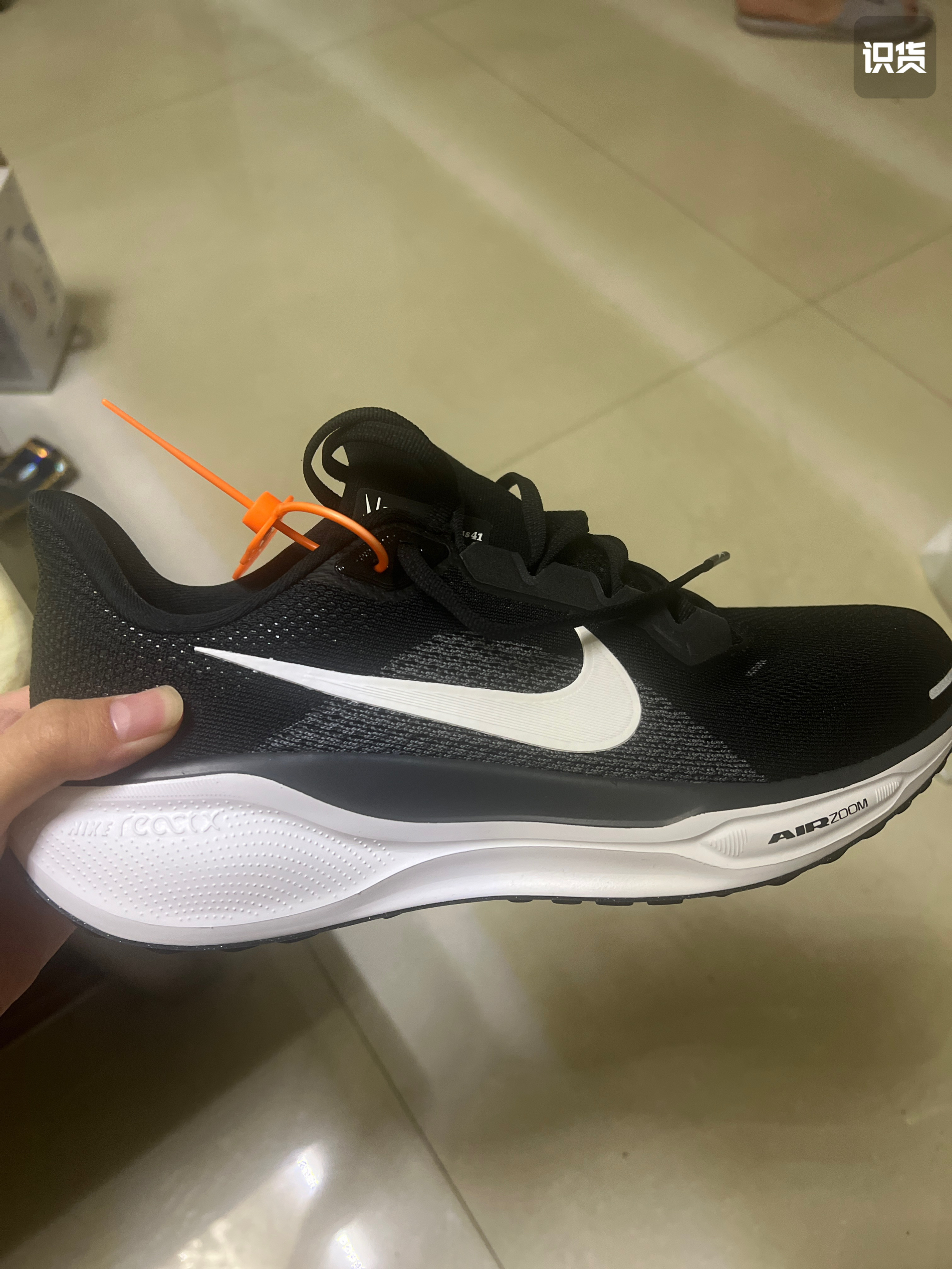 飞马41