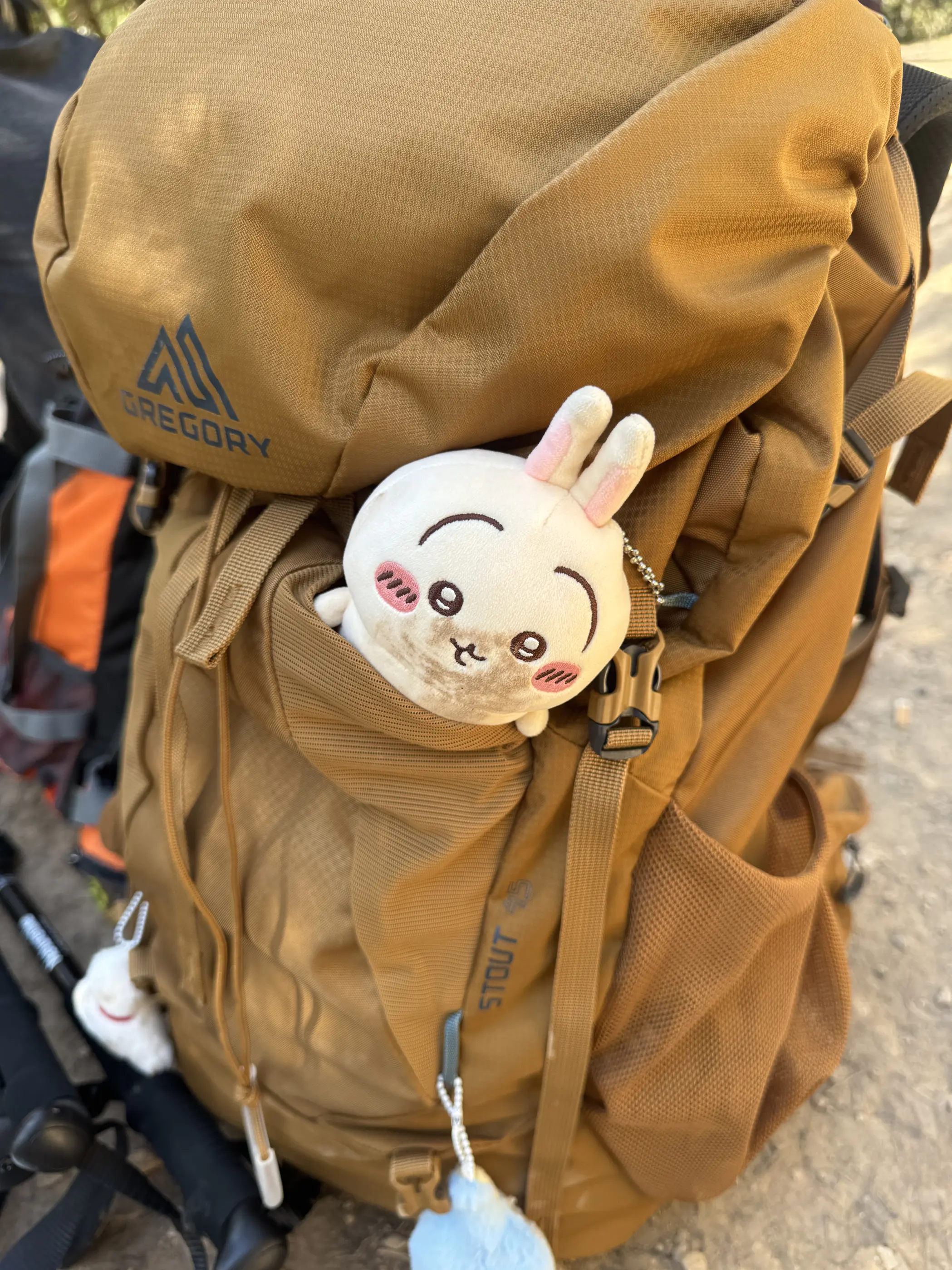 小高哪里好?格里高利背负吊
