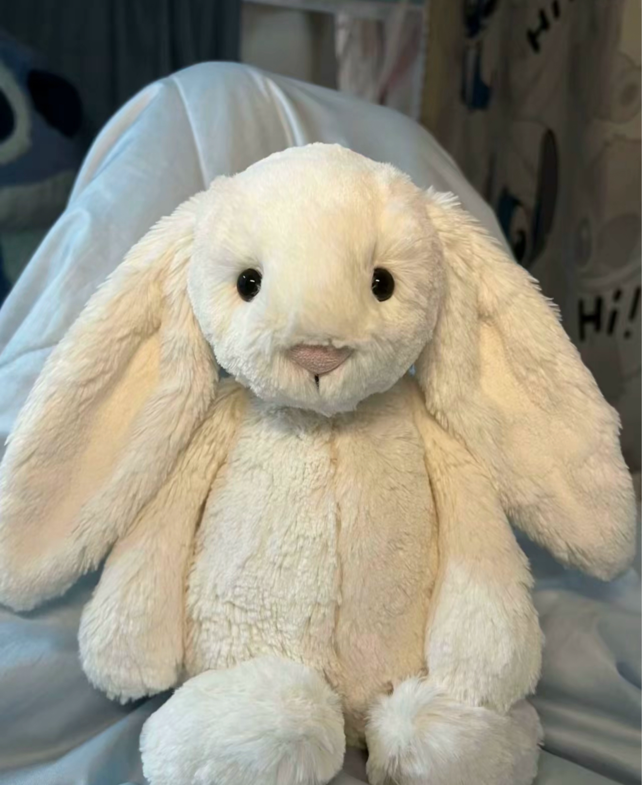 #毛绒玩具#可爱兔兔#治愈系礼物