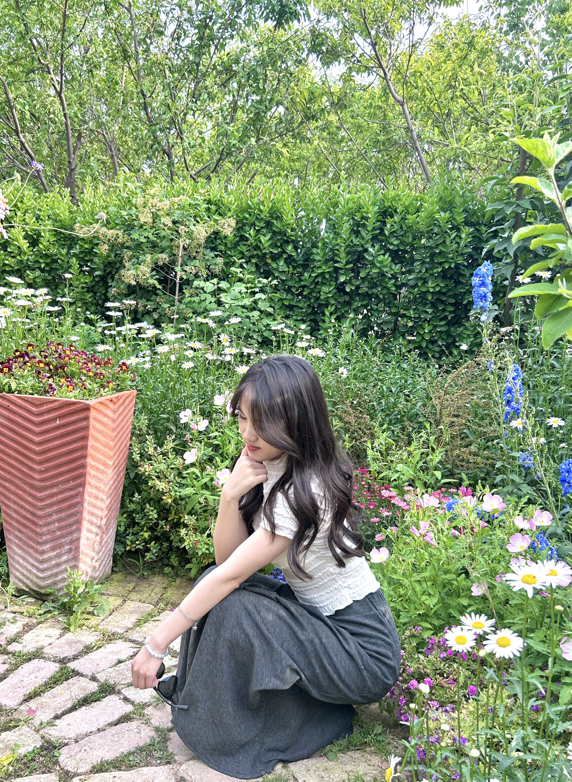 莫奈花园🌹｜邂逅浪漫的午后