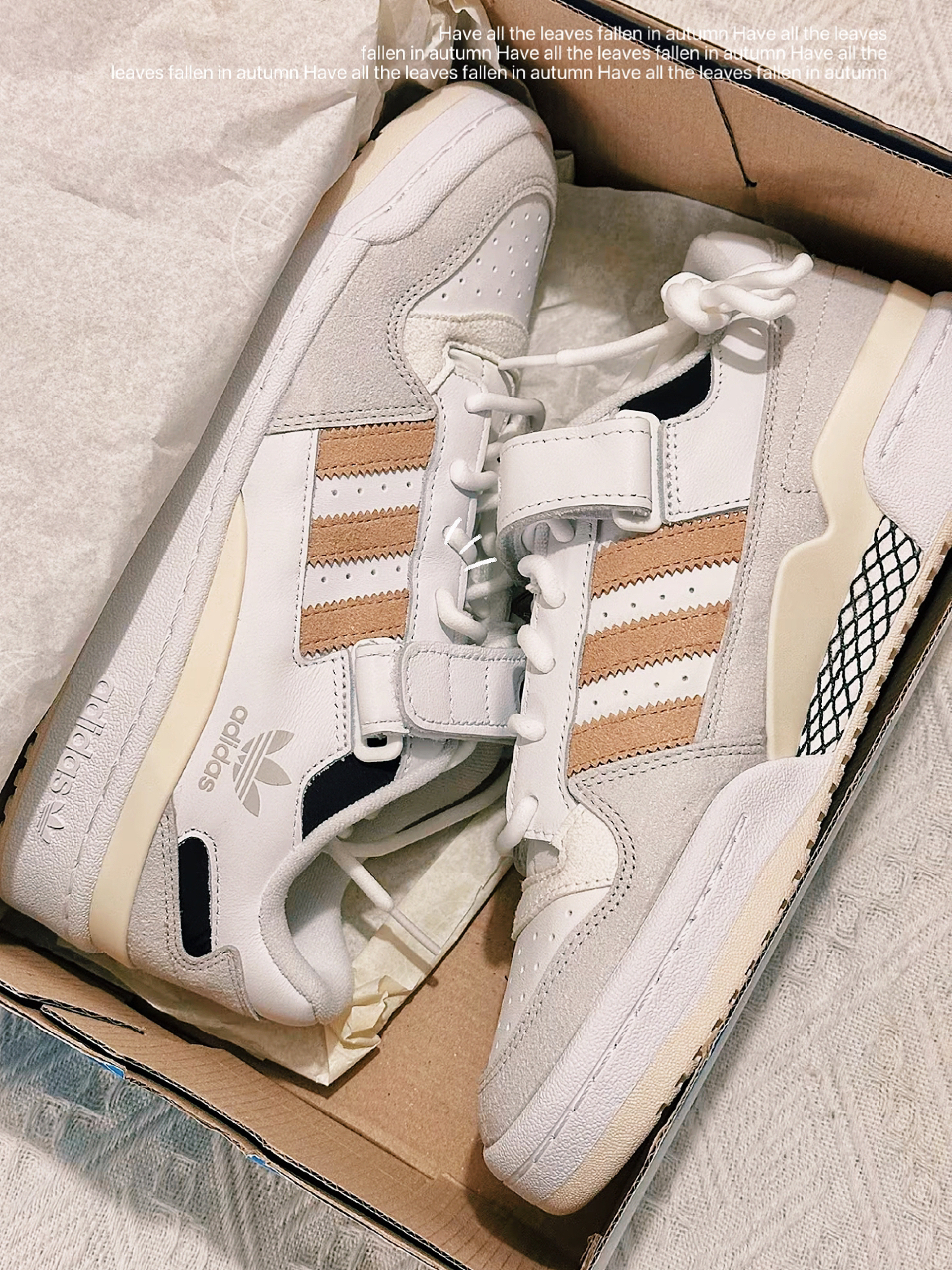 adidas originals FORUM Low