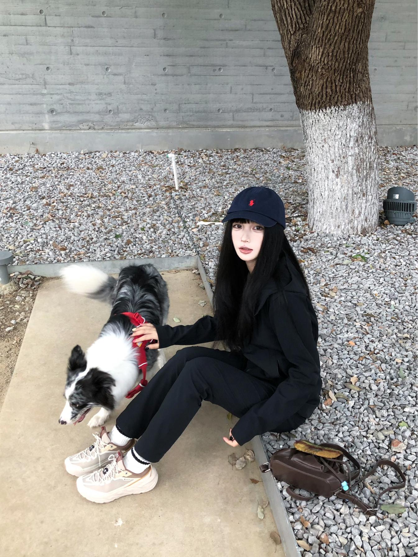 或许自由更胜一筹🌬️