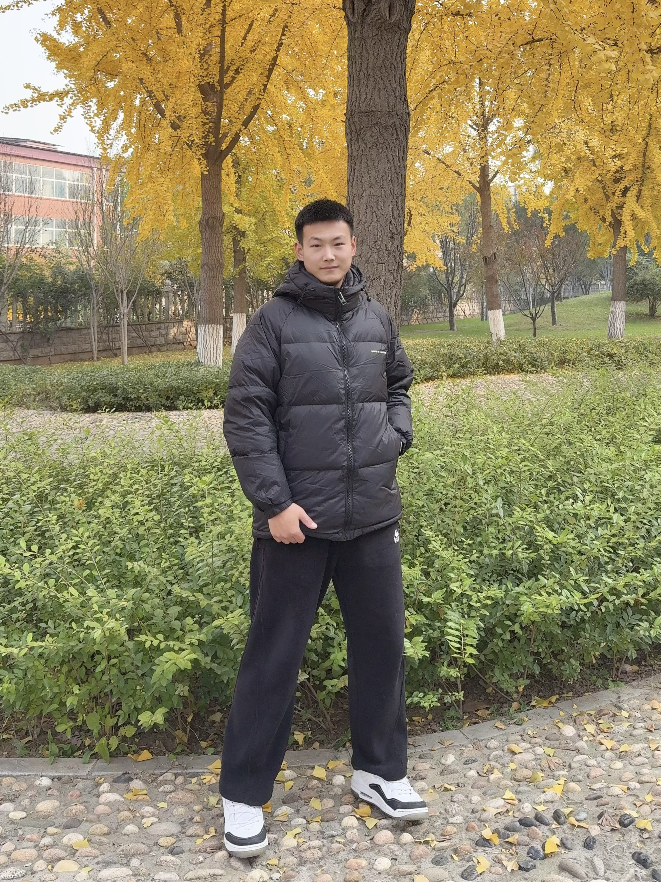 银杏黄了，我还在这件羽绒服里🍂❄️