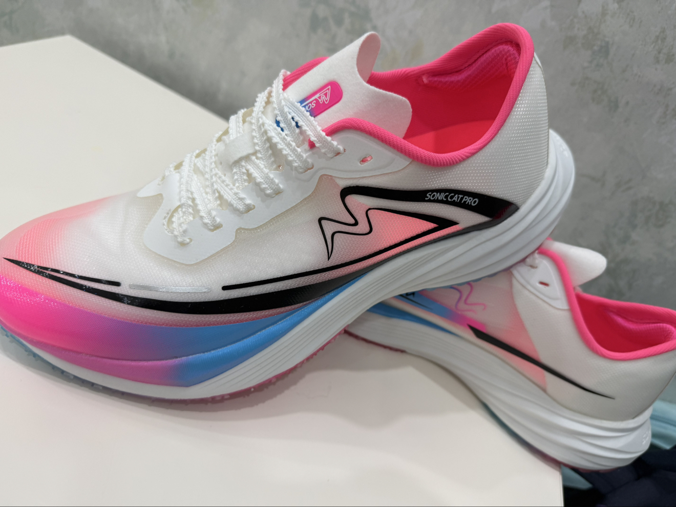 #音速猫体考神器