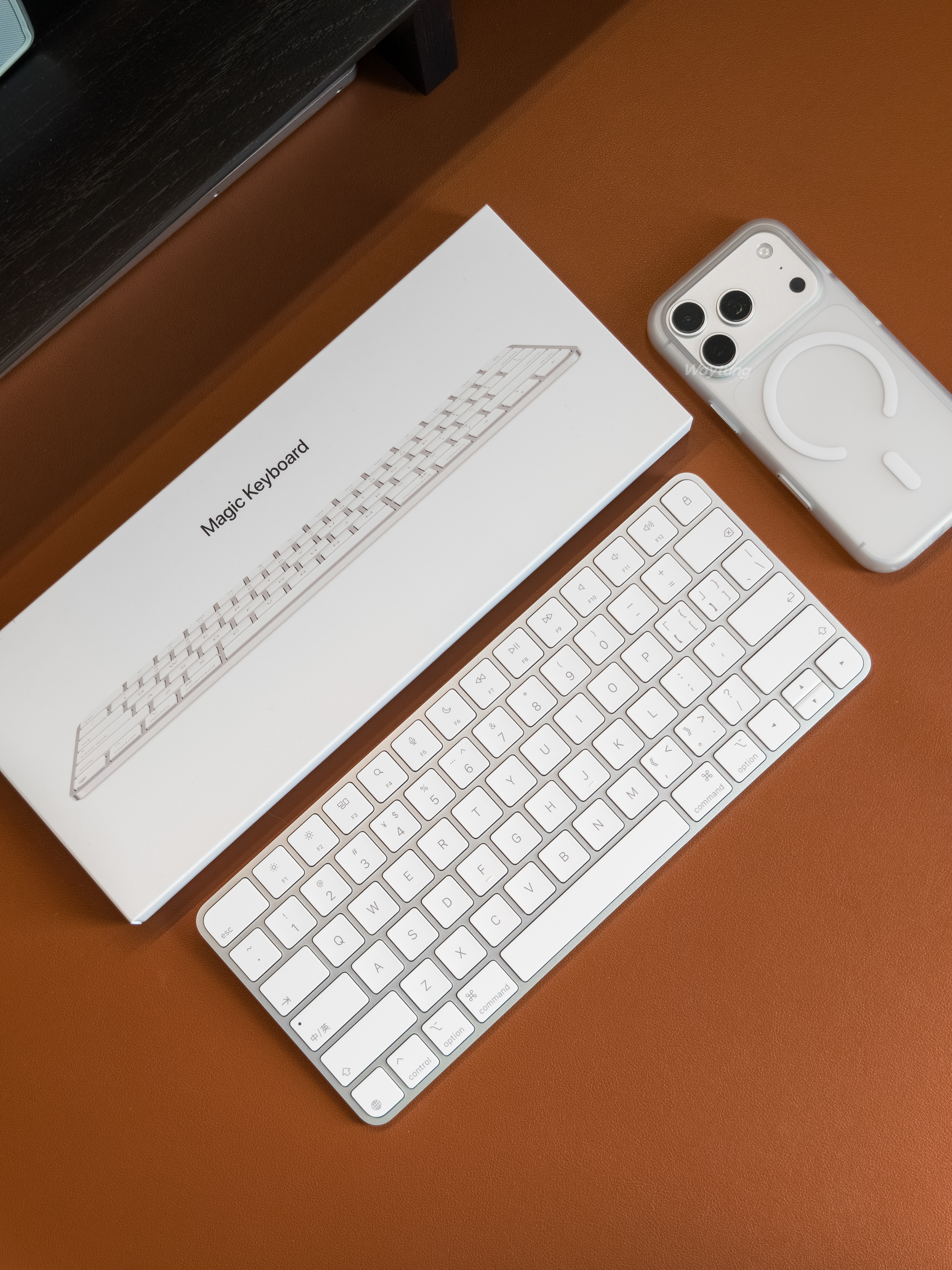 买了妙控键盘，但是没舍得买适配iPad款⌨️