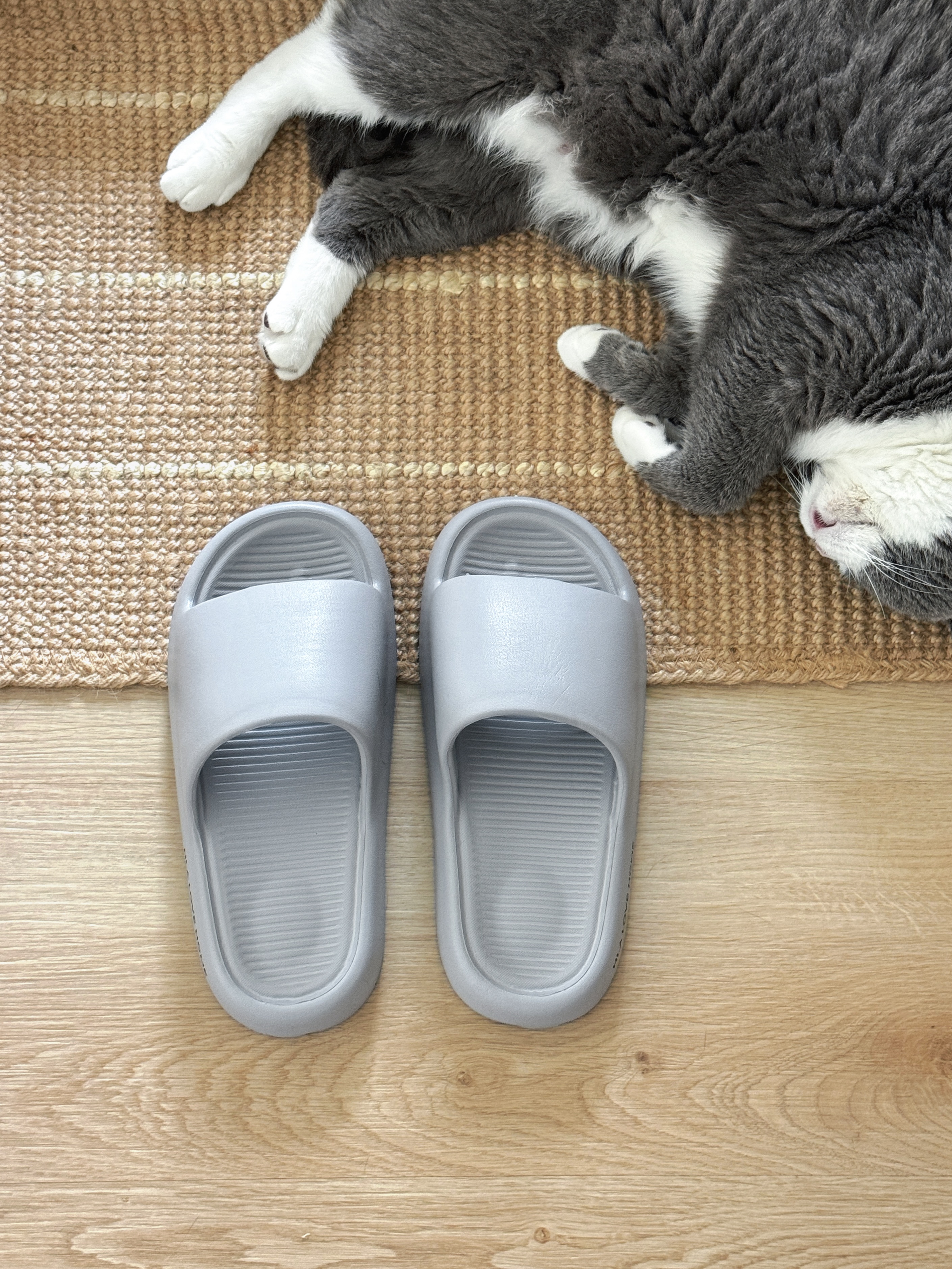 🩶｜灰调居家拖鞋和猫太搭