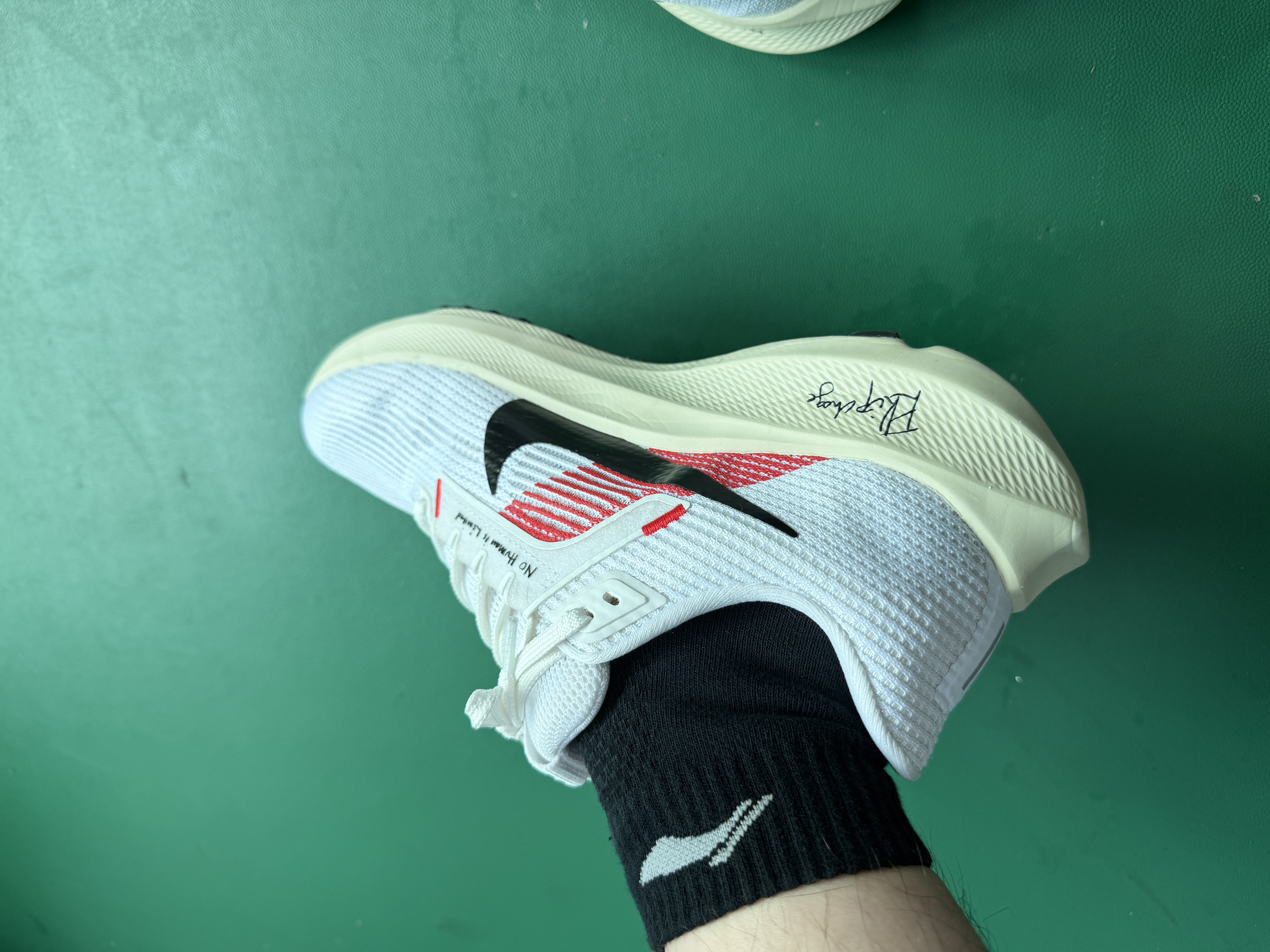 飞马40