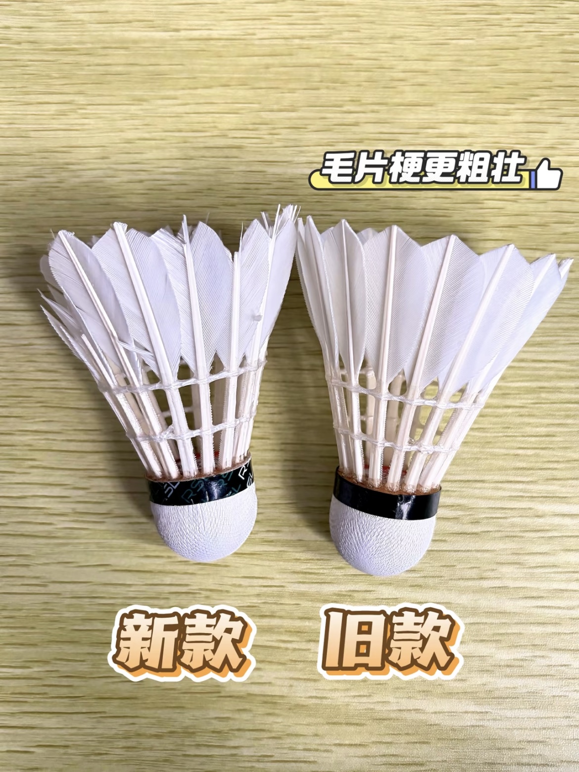 亚狮龙D5新旧款毛片对比🧐