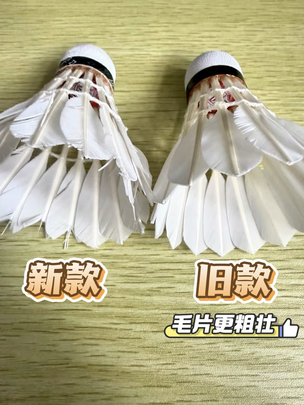 亚狮龙D5新旧款毛片对比🧐