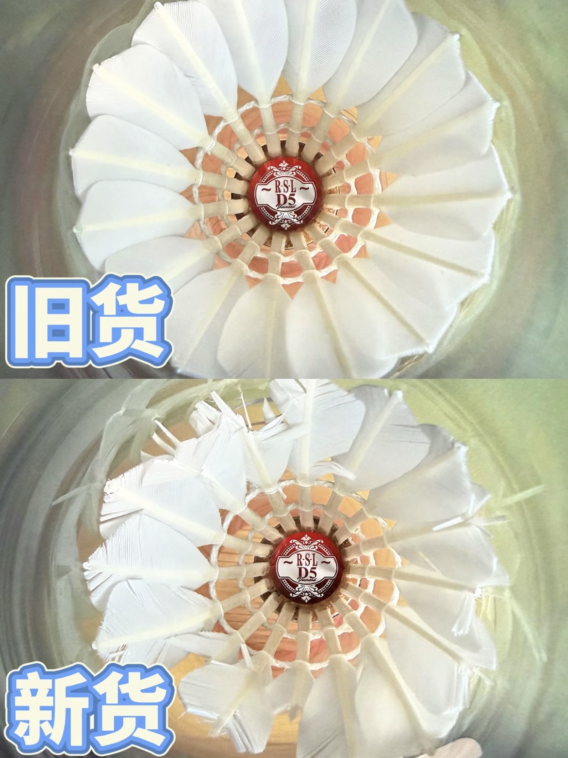 亚狮龙D5新旧款毛片对比🧐