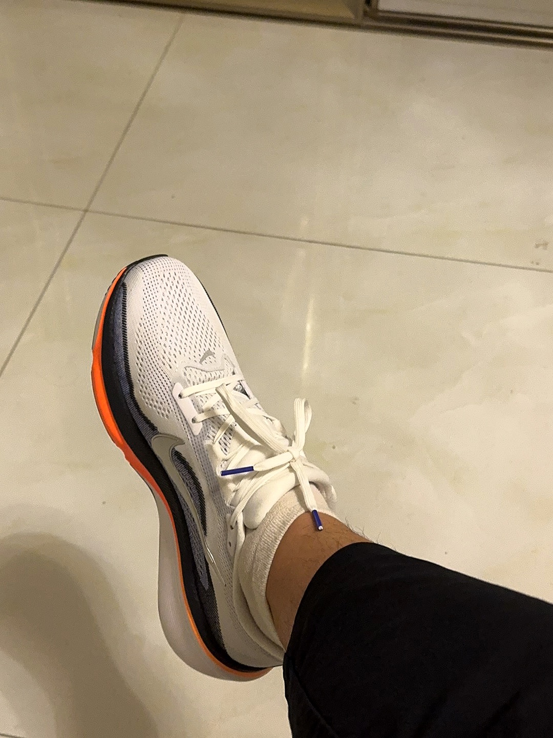 这双飞马帅炸了