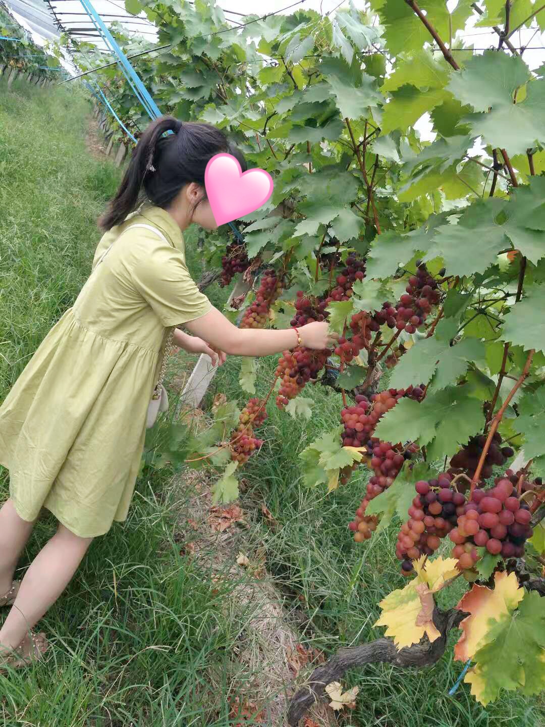 假期出游穿搭 | 当我用奶黄色💛开启在合肥的一天!