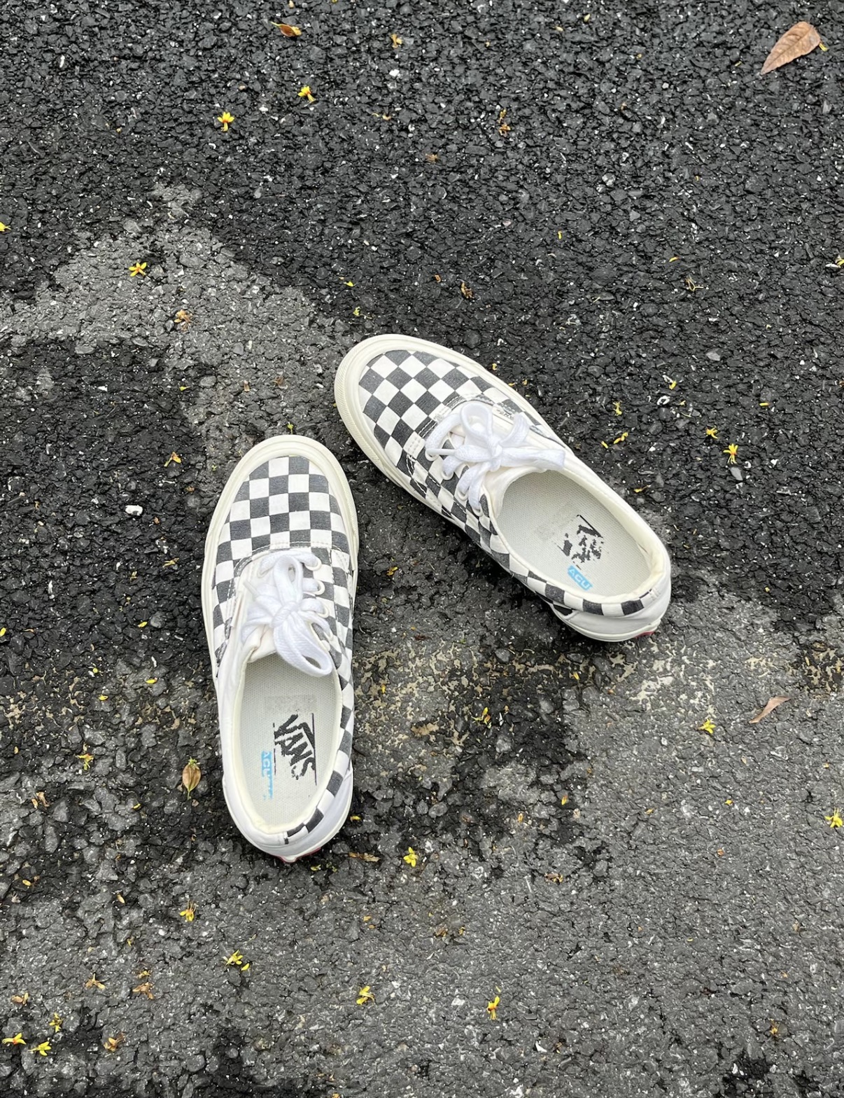 wans经典棋盘格 旗舰产品🫣🔥🔥🔥