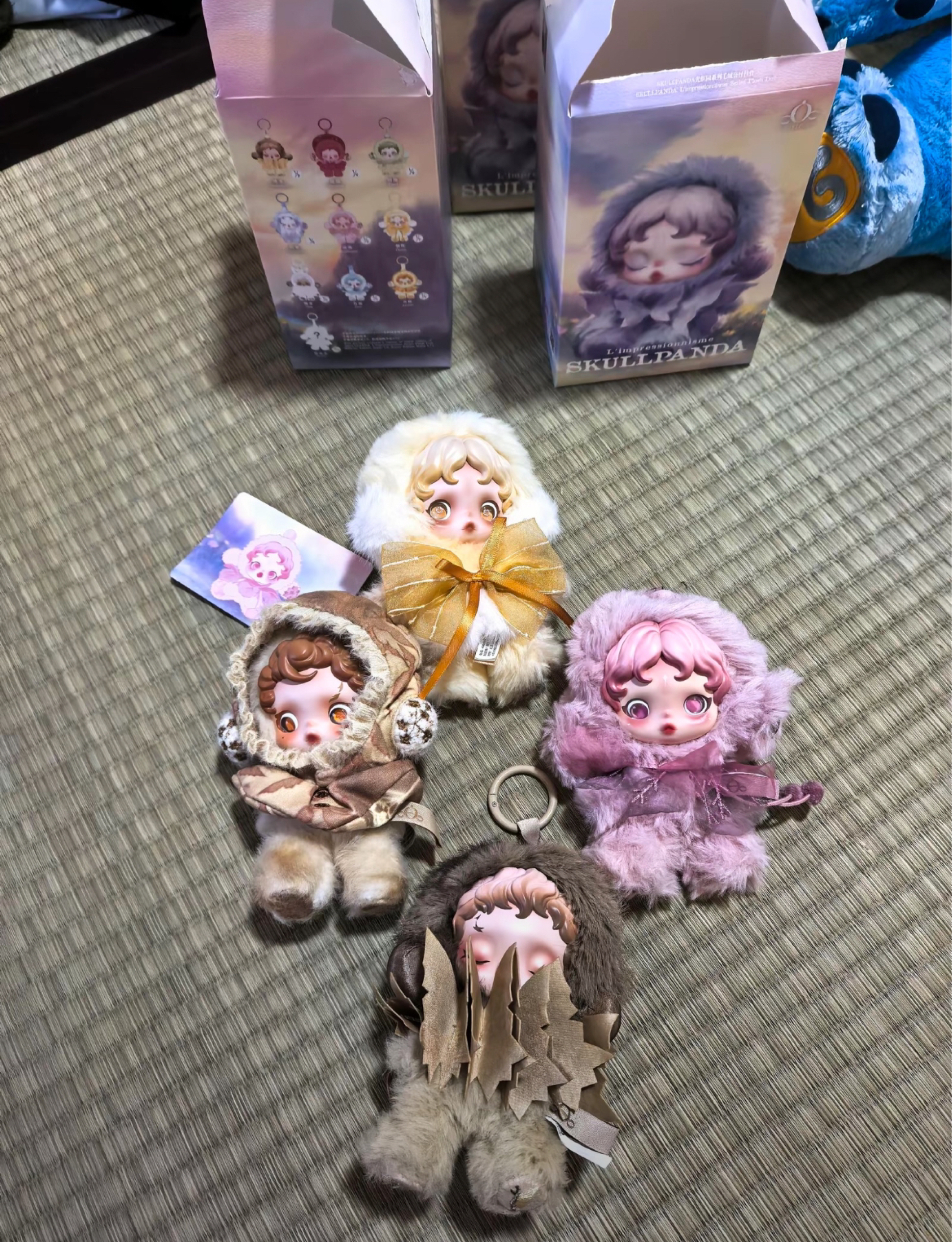 分享我的可爱新宠