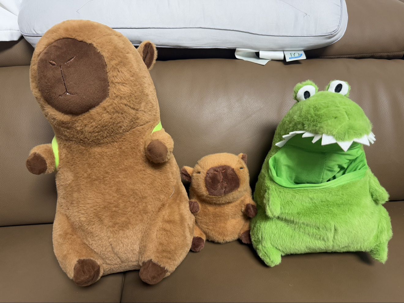 五是不是I可爱的好呢