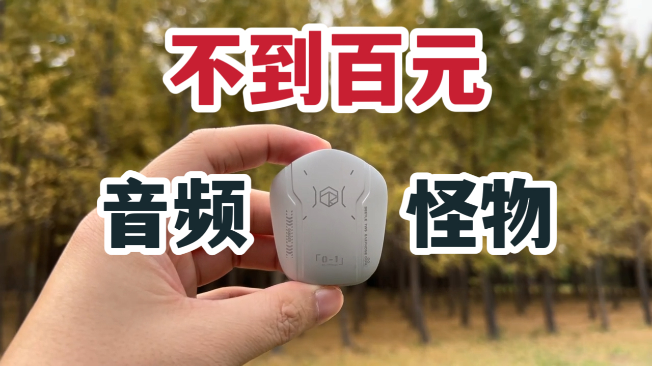 不到百元的音频怪物！弱水时砂甲虫体验！