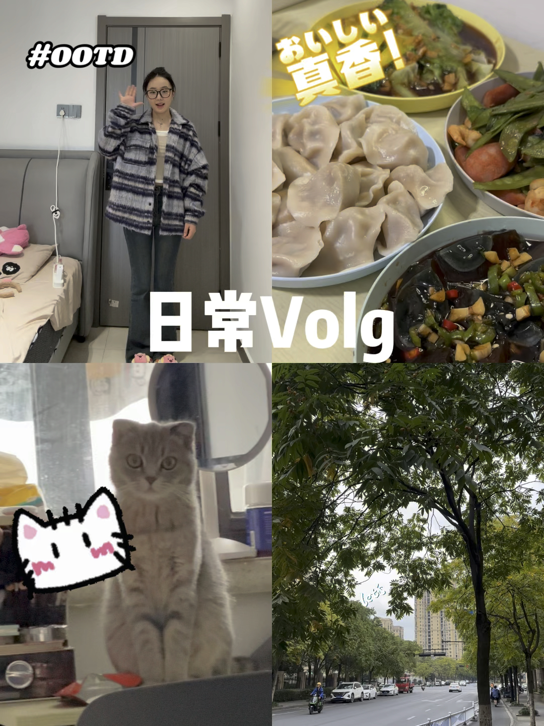 Volg 🫧｜大四实习生的日常