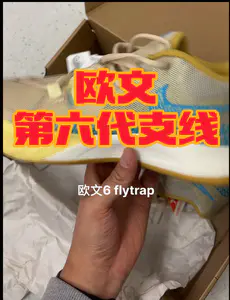 欧文6支线