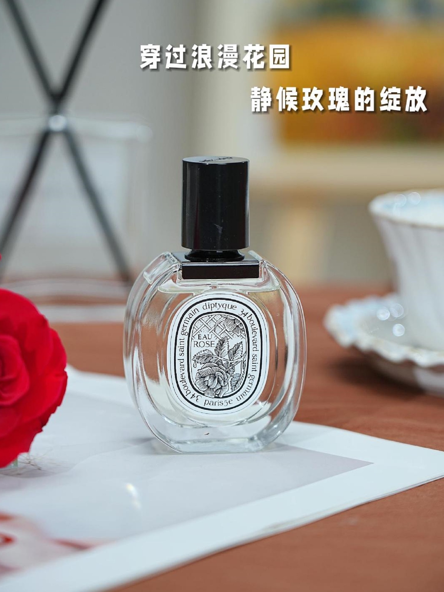 穿过浪漫花园，静候玫瑰的绽放