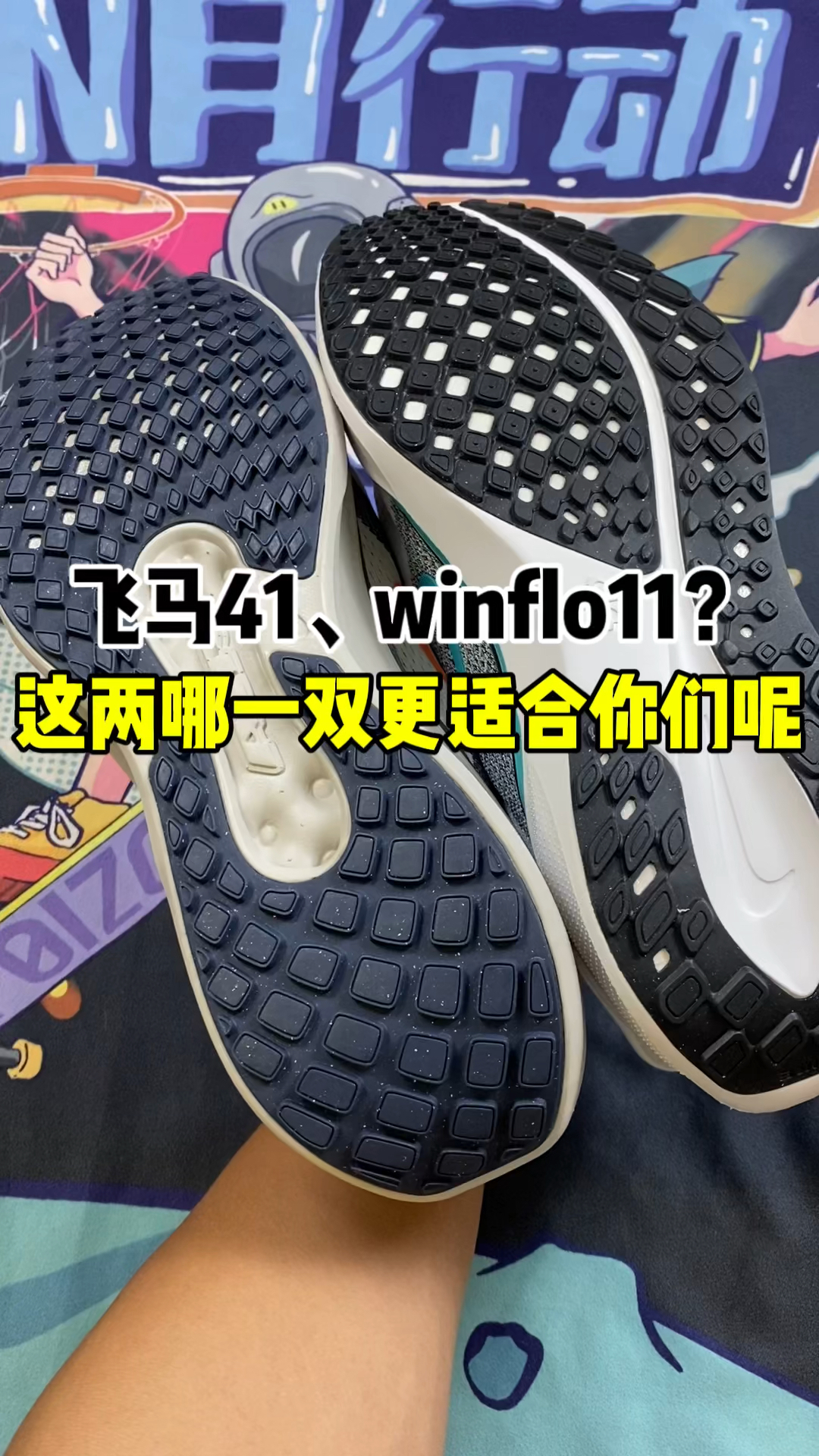 飞马41、vinflo11?咋选