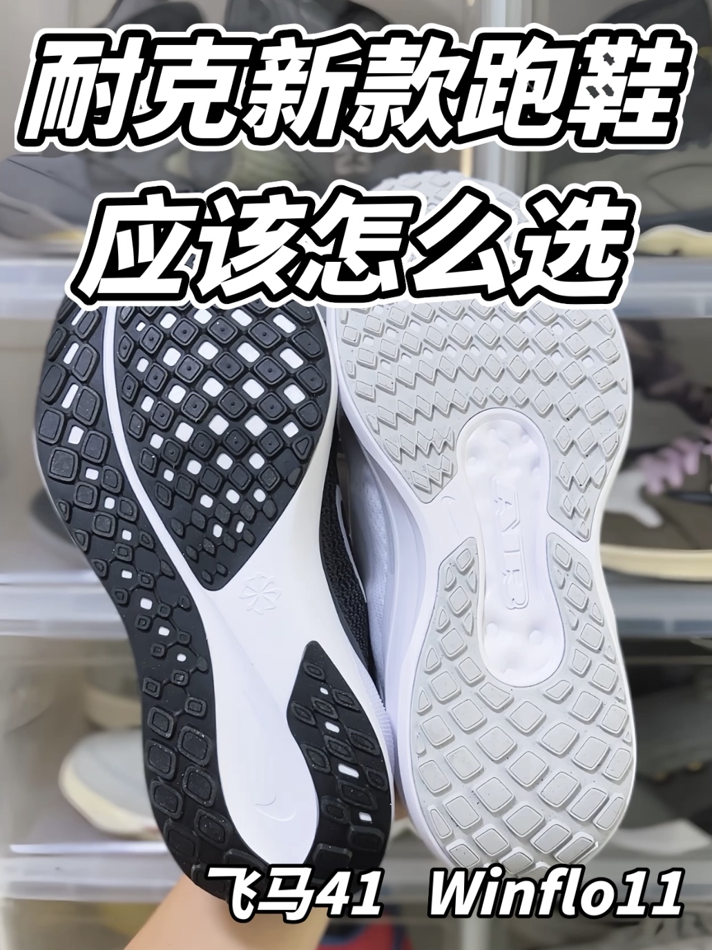 飞马41和Winflo11怎么选？