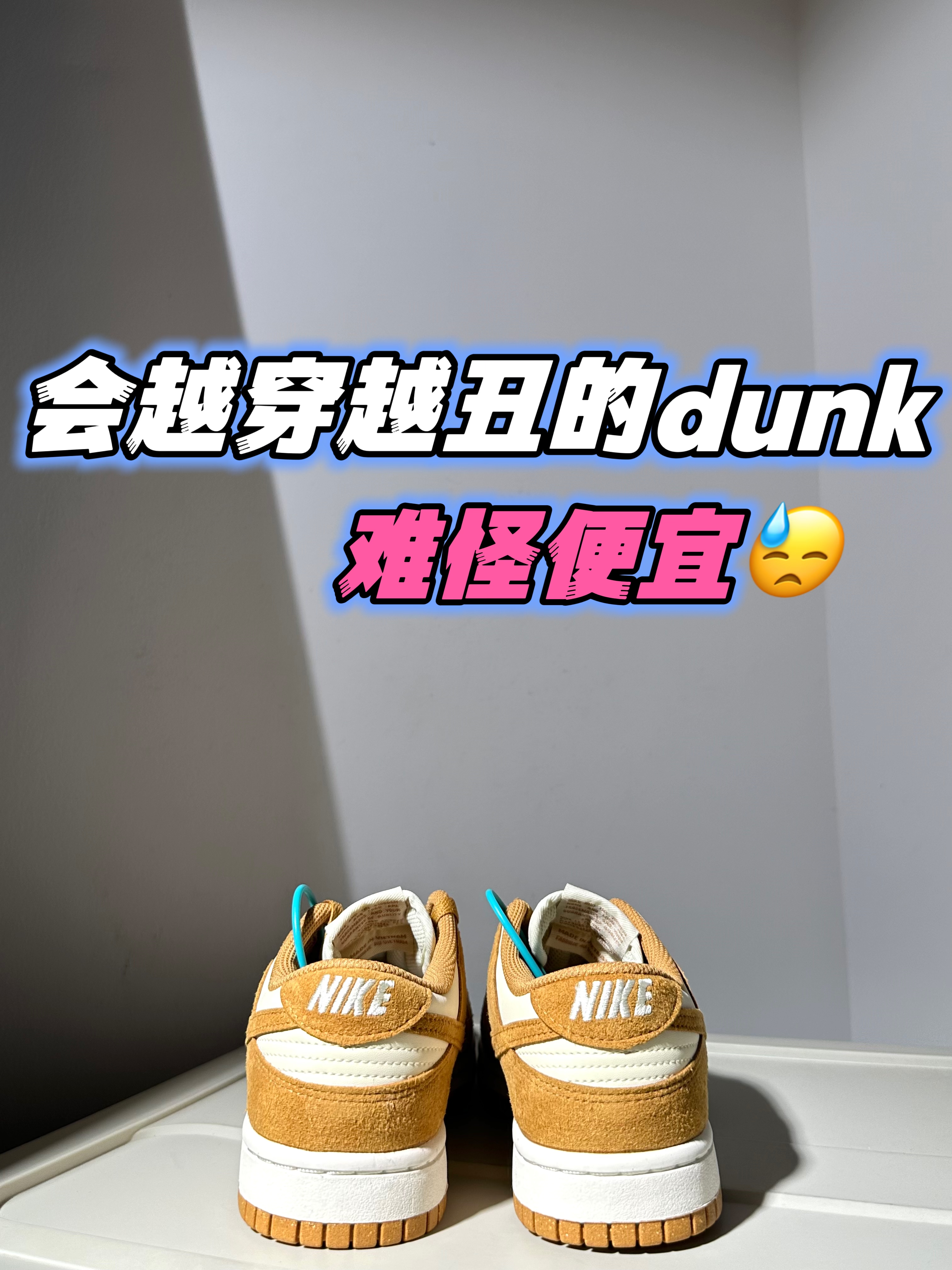 不要因为便宜就跟风‼️‼️🧐