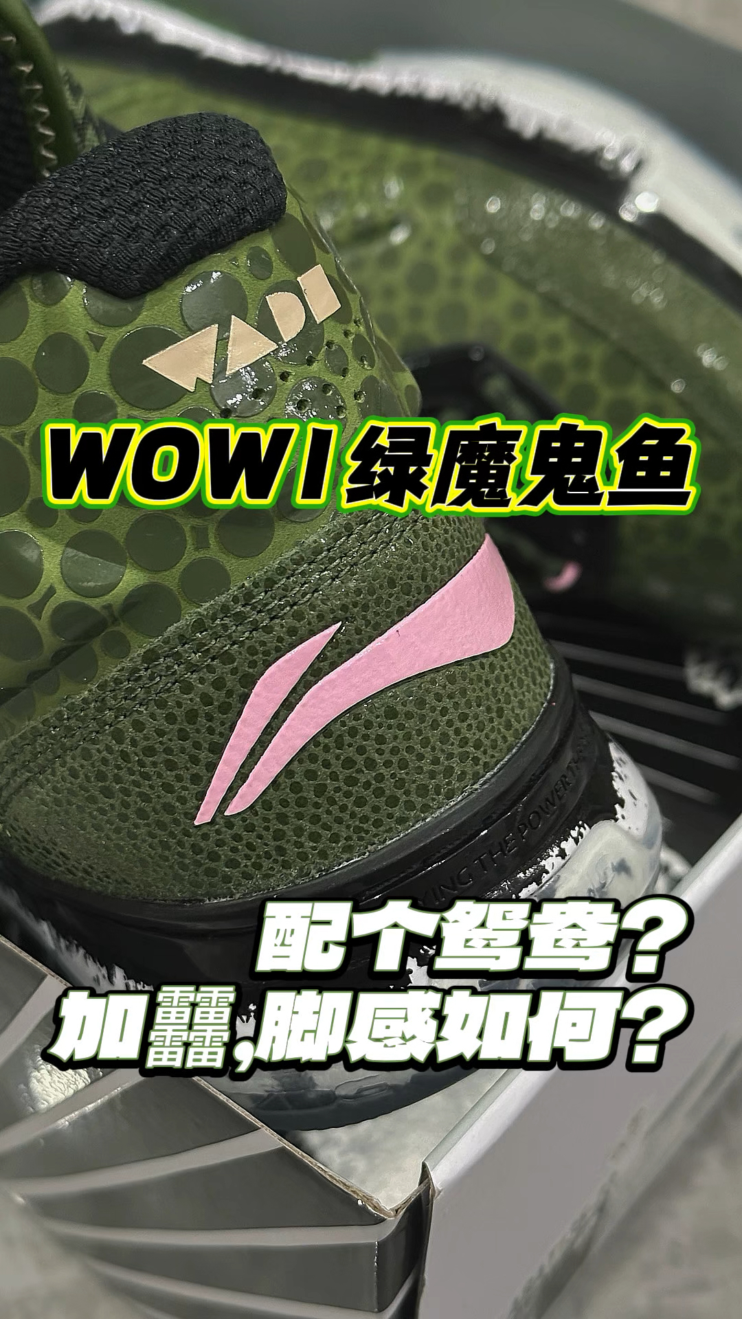 韦德之道绿魔鬼鱼！这次打算配鸳鸯？！