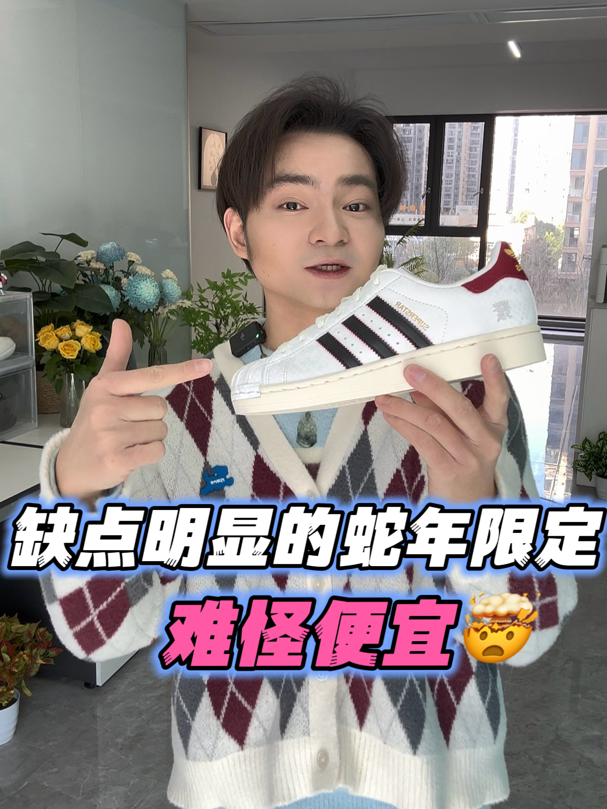 一双封神|蛇年限定贝壳头确实很精致‼️‼️💫🤍