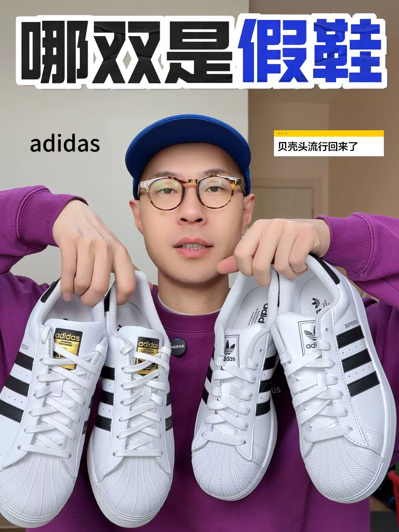 贝壳头你可不要选错了！