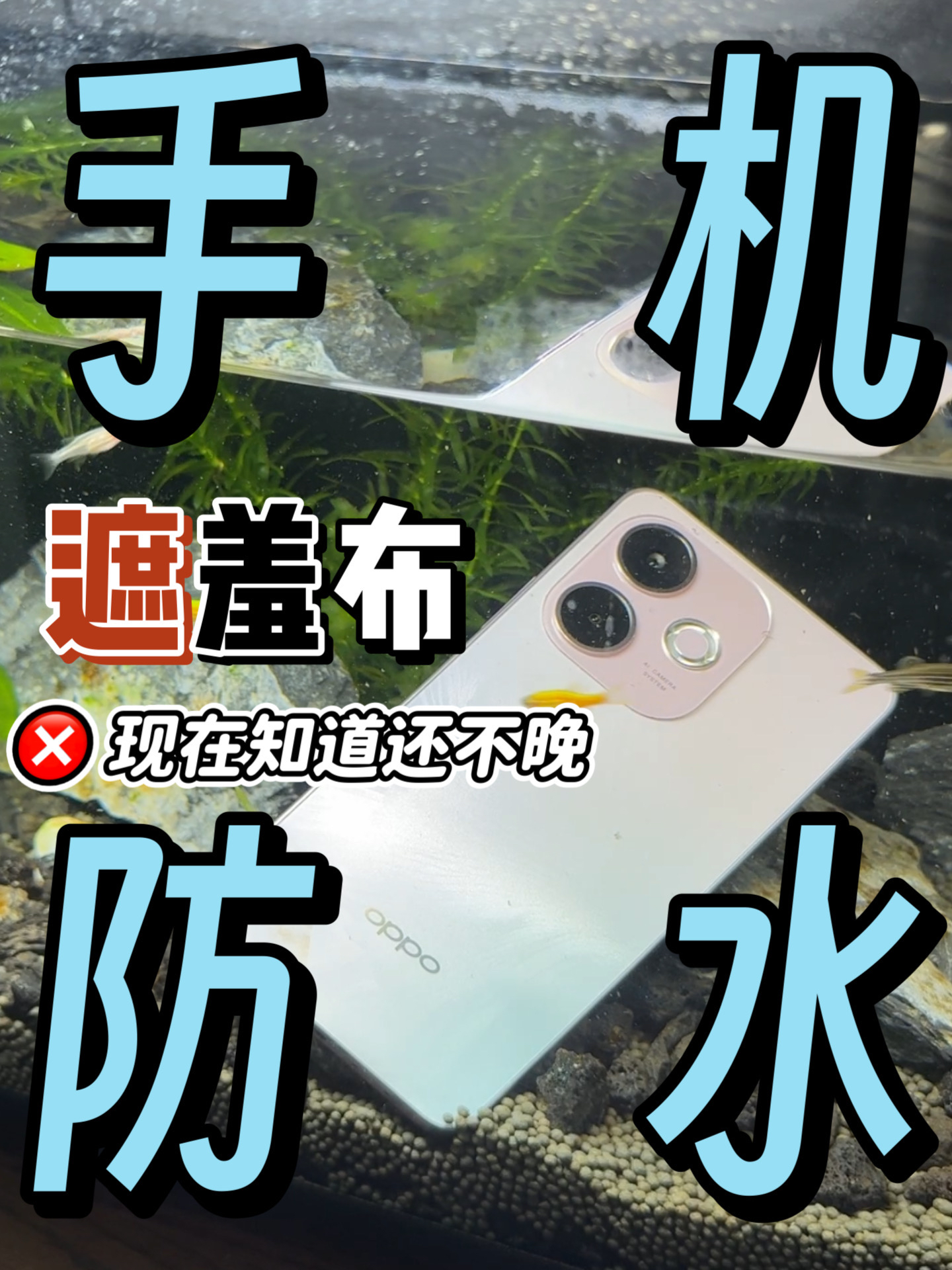 揭开手机防水的遮羞布,现在知道还不晚