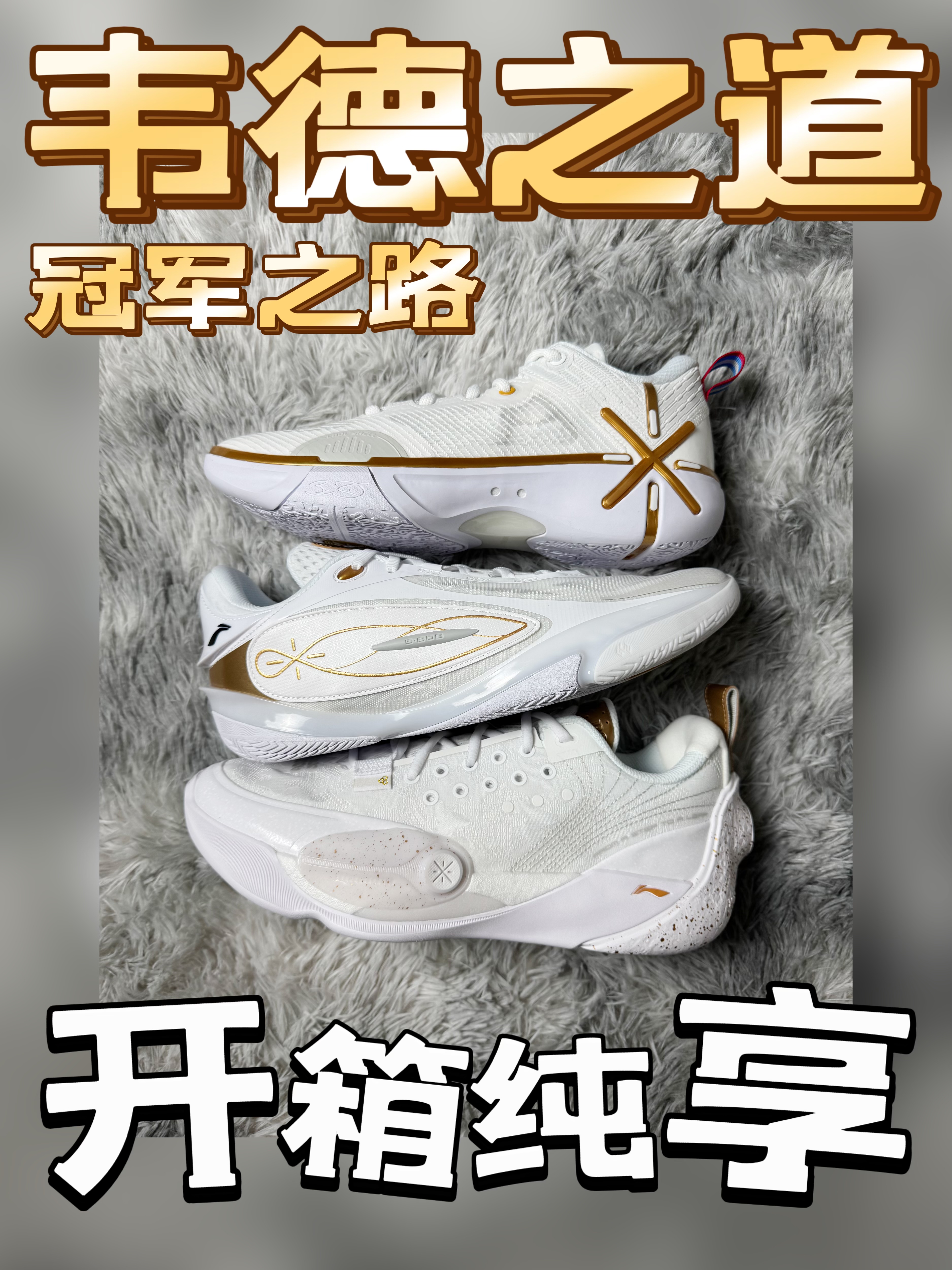 韦德之道冠军之路系列分享